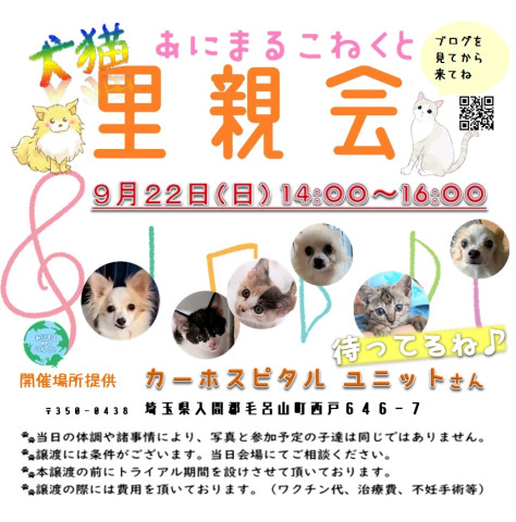 あにこね犬猫里親会