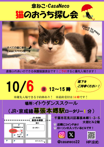 傘ねこ?猫のおうち探し会（＠幕張本郷）