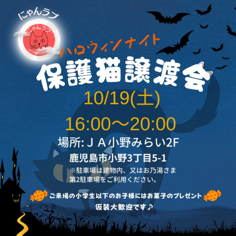 にゃんラブハロウィンナイト譲渡会