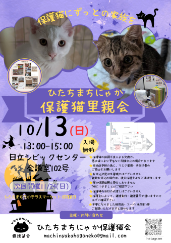 ひたちまちにゃか保護猫里親会