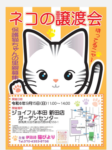 ジョイフル本田保護猫の譲渡会