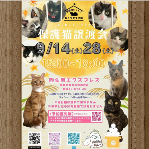 保護猫譲渡会