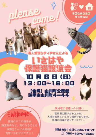 個人ボランティアさんによるいさはや保護猫譲渡会