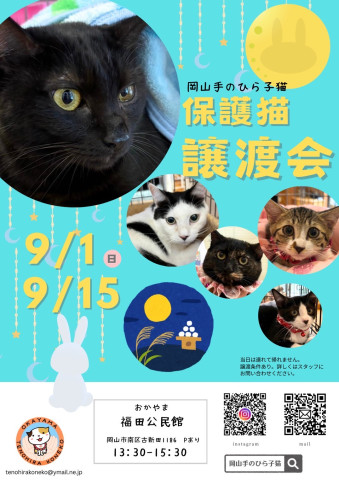 岡山手のひら子猫の譲渡会