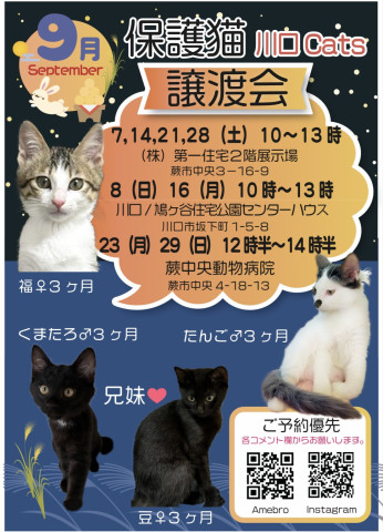 川口Cats保護猫譲渡会