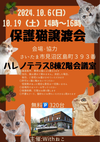 【さいたま市】10/6（日）ハレノテラス保護猫譲渡会