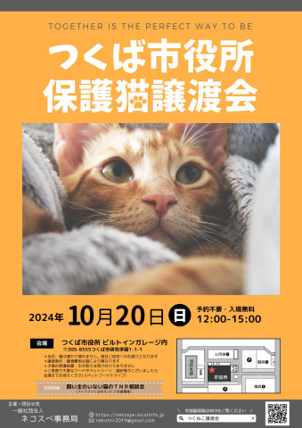 つくば市役所保護猫譲渡会