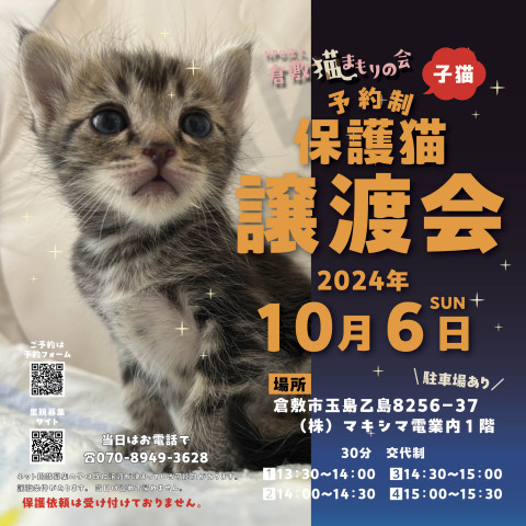 保護猫譲渡会（予約制）