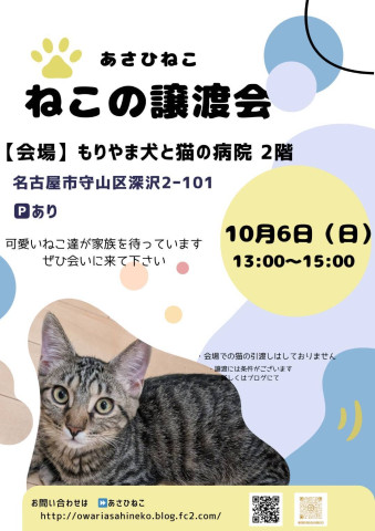 ねこの譲渡会 inもりやま犬と猫の病院