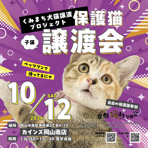 倉敷猫まも保護猫譲渡会（見学自由）