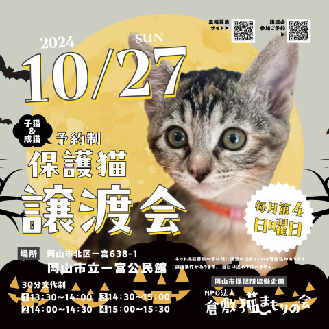 保護猫譲渡会（予約制）