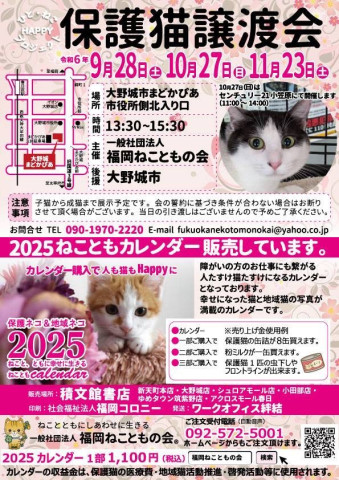 福岡ねこともの会譲渡会