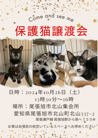 保護猫譲渡会