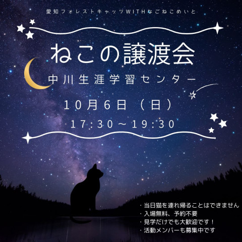 保護猫譲渡会（夜の部）　名古屋市