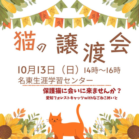 保護猫譲渡会　名古屋市