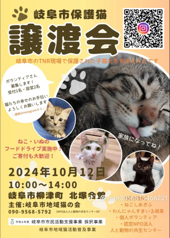 岐阜市地域猫の会  譲渡会