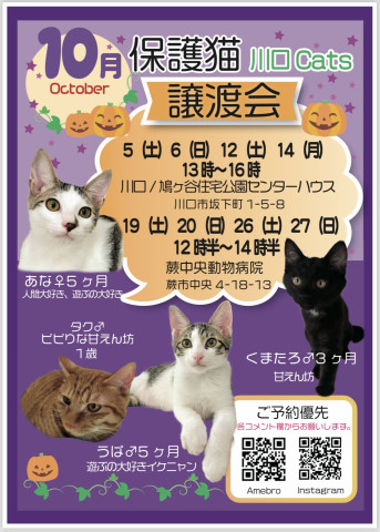 川口Cats保護猫譲渡会