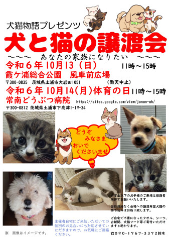 犬と猫の譲渡会～あなたの家族になりたい～　　　　　　