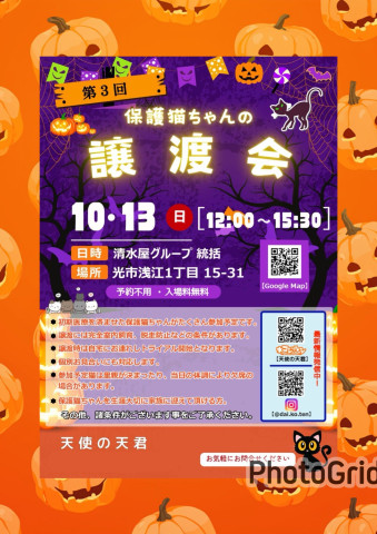 ⭐第3回　保護猫譲渡会⭐