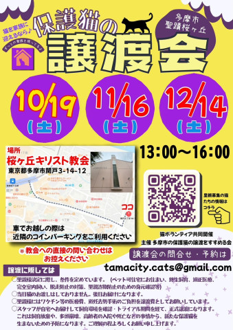 【多摩市聖蹟桜ヶ丘】保護猫譲渡会