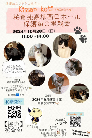 柏斎苑保護ねこ里親会