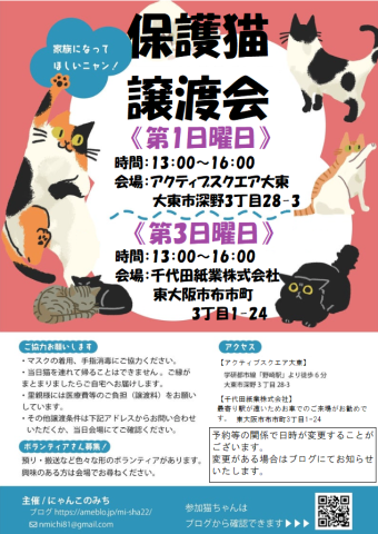 第70回　保護猫の譲渡会