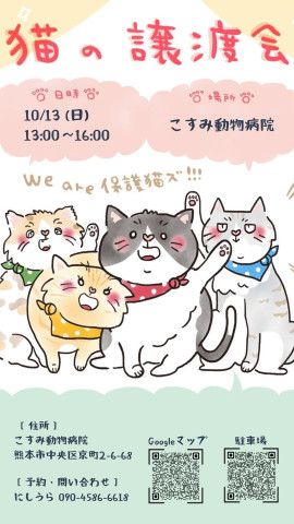 保護猫譲渡会