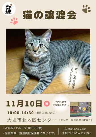 猫の譲渡会　in　岐阜大垣