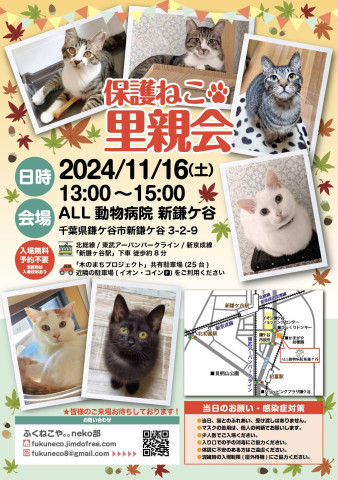 鎌ケ谷開催！保護ねこ里親会