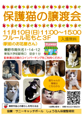 猫の譲渡会＠秦野市