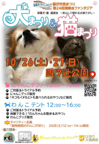 湘南台ファンタジア【猫の譲渡会】にゃんまるの会