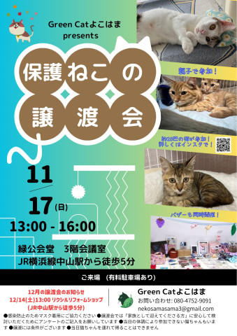 11/ 17保護ねこの譲渡会 in 緑公会堂