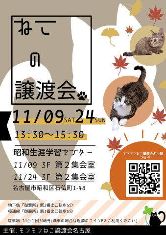 猫の譲渡会　in　名古屋市昭和生涯学習センター