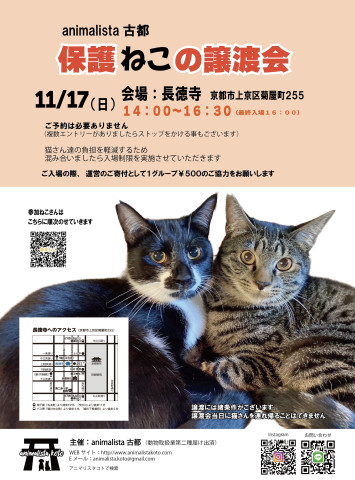 animalista古都　保護ねこの譲渡会