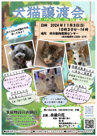 いぬねこ譲渡会