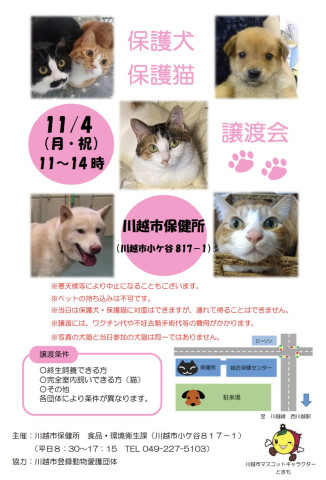 川越市保健所♡保護犬猫譲渡会