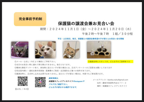 【予約制】保護猫の譲渡会兼お見合い会