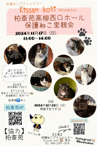 柏斎苑保護ねこ里親会