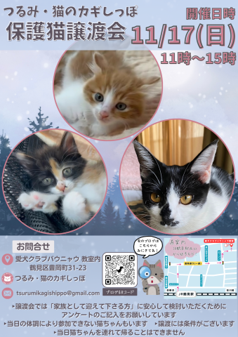 つるみ・猫のカギしっぽ譲渡会11月17日（日）JR鶴見駅西口徒歩5分