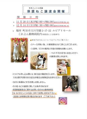 モモニィニャの会　保護ねこ譲渡会