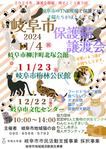 岐阜市🐱猫の譲渡会