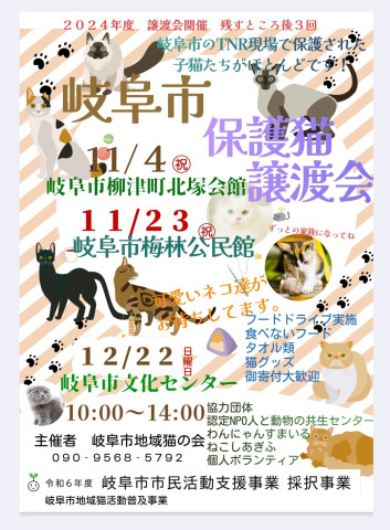 岐阜市地域猫の会  譲渡会