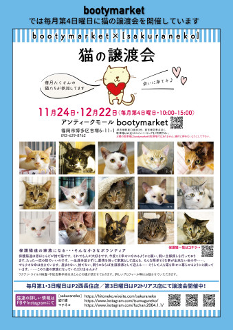 Bootymarket × [sakuraneko] 猫の譲渡会