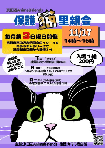 京田辺市：保護猫の里親会★☆