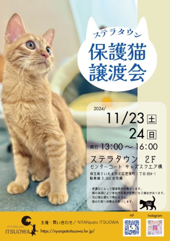 【さいたま市北区】11/23・24　ステラタウン保護猫譲渡会