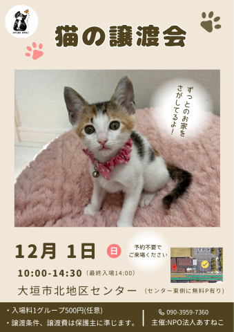 猫の譲渡会～ちびっ子大集合～