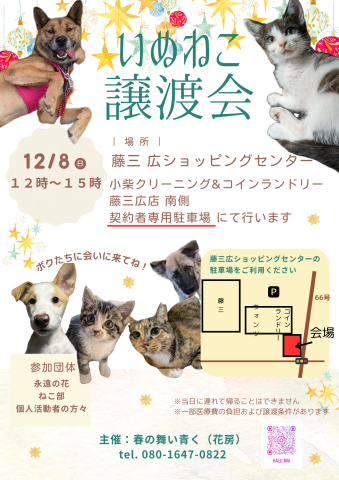 いぬねこ譲渡会