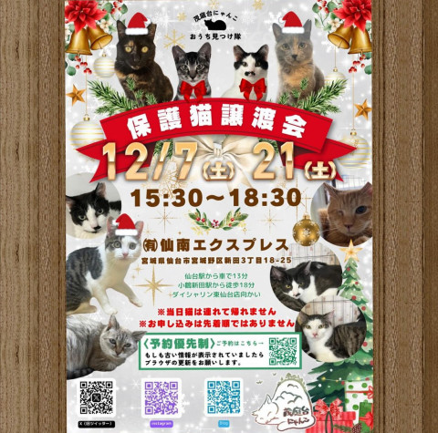 保護猫譲渡会