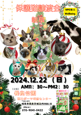 保護猫譲渡会inぎふ