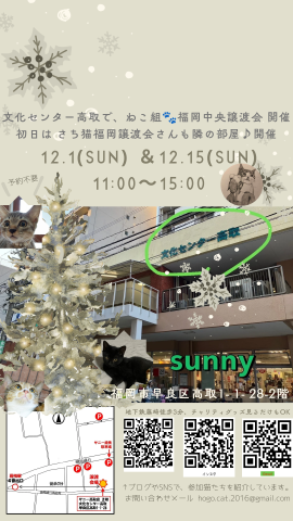 ねこ組 福岡中央譲渡会